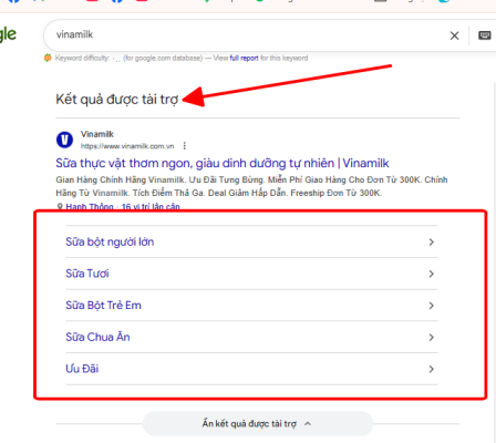 Ad Sitelink (Sitelink trong Google Ads)