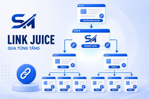 Dòng chảy link juice qua từng tầng